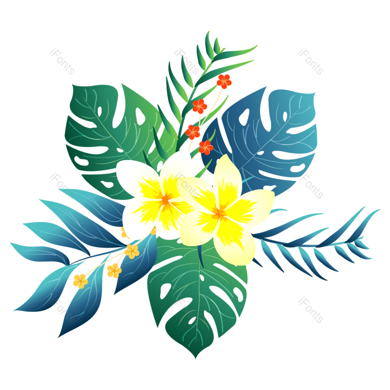 叶子图片,夏天元素,花草PNG,花草装饰免抠素材